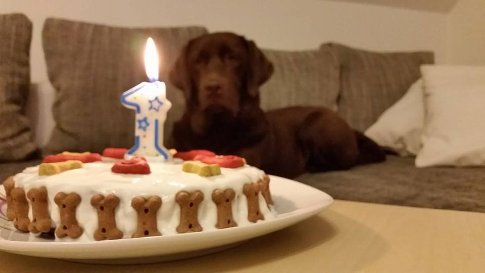 1geburtstag