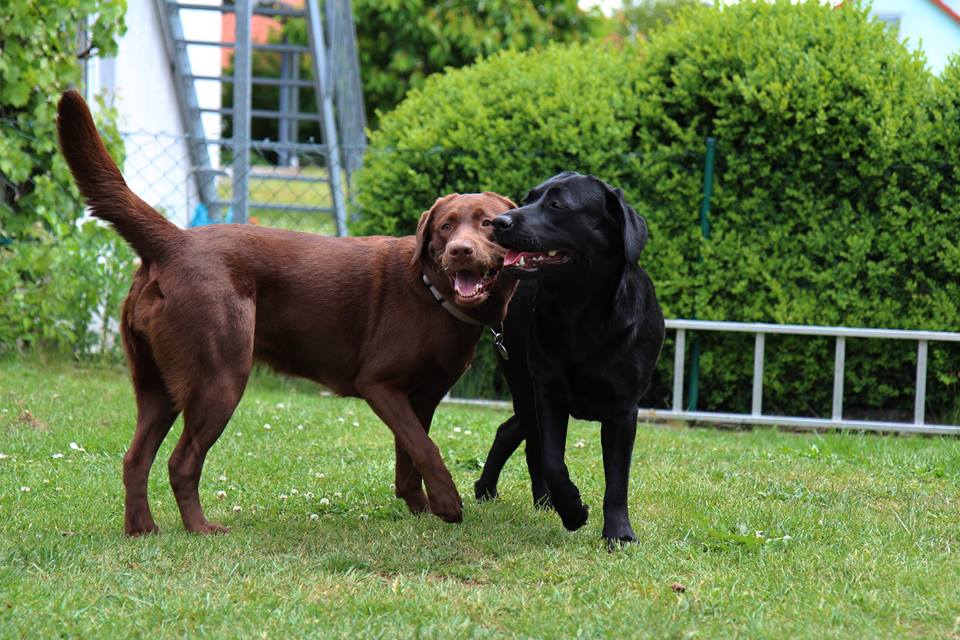 emma mit anna bayern