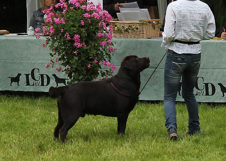 coco locos new kid on the block image001