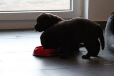 img_2353