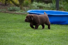 img_2407_ps