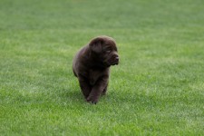 img_2452_ps