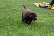 img_2480_ps