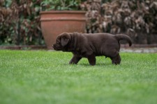 img_2486_ps