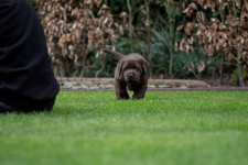 img_2494_ps