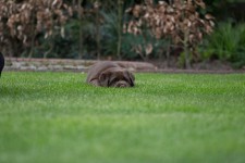 img_2500_ps