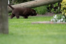 img_2503_ps