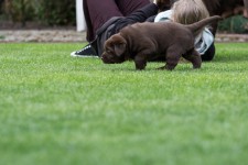 img_2513_ps