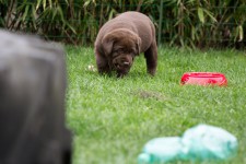 img_2602_ps
