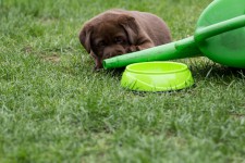 img_2687_ps
