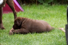 img_2719_ps