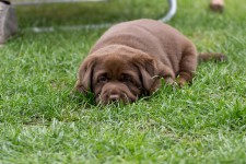 img_2780_ps