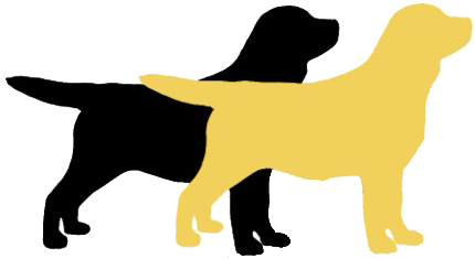 braun